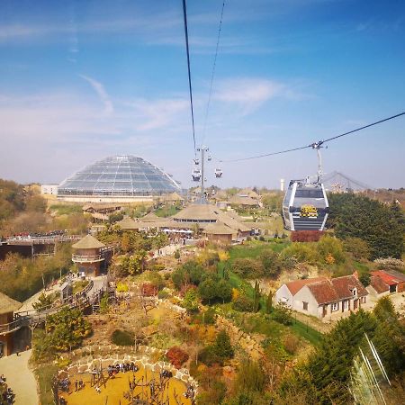 Le Chant Des Oiseaux, 3Km Du Zoo De Beauval, Parking Gratuit ,Wifi Et Netflix Gratuits Saint-Aignan  Ngoại thất bức ảnh