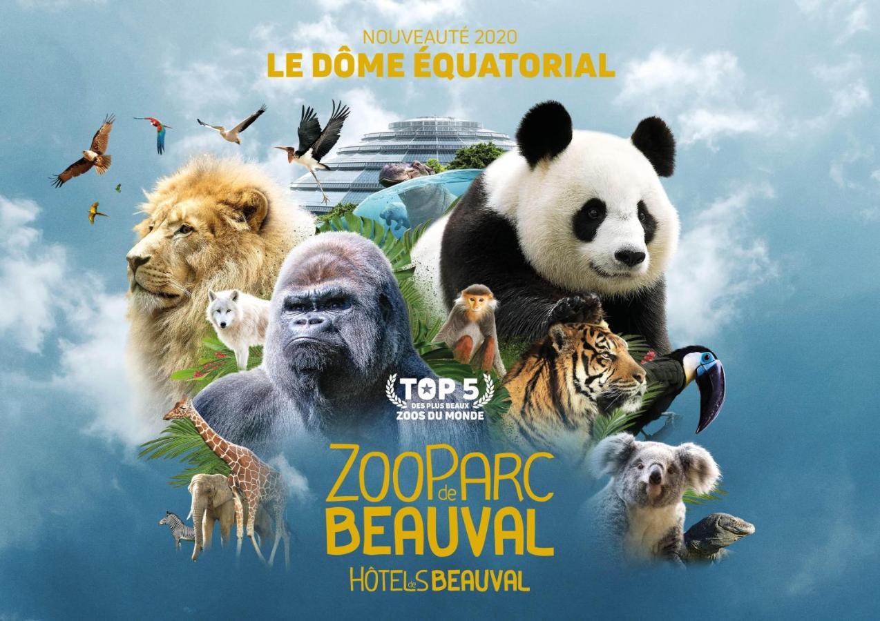 Le Chant Des Oiseaux, 3Km Du Zoo De Beauval, Parking Gratuit ,Wifi Et Netflix Gratuits Saint-Aignan  Ngoại thất bức ảnh